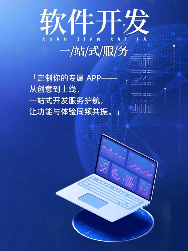 万宁软件开发选购指南